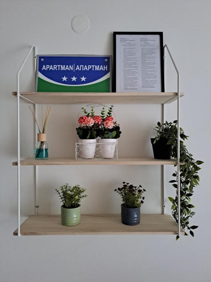 Apartman Park 兹沃尔尼克 外观 照片